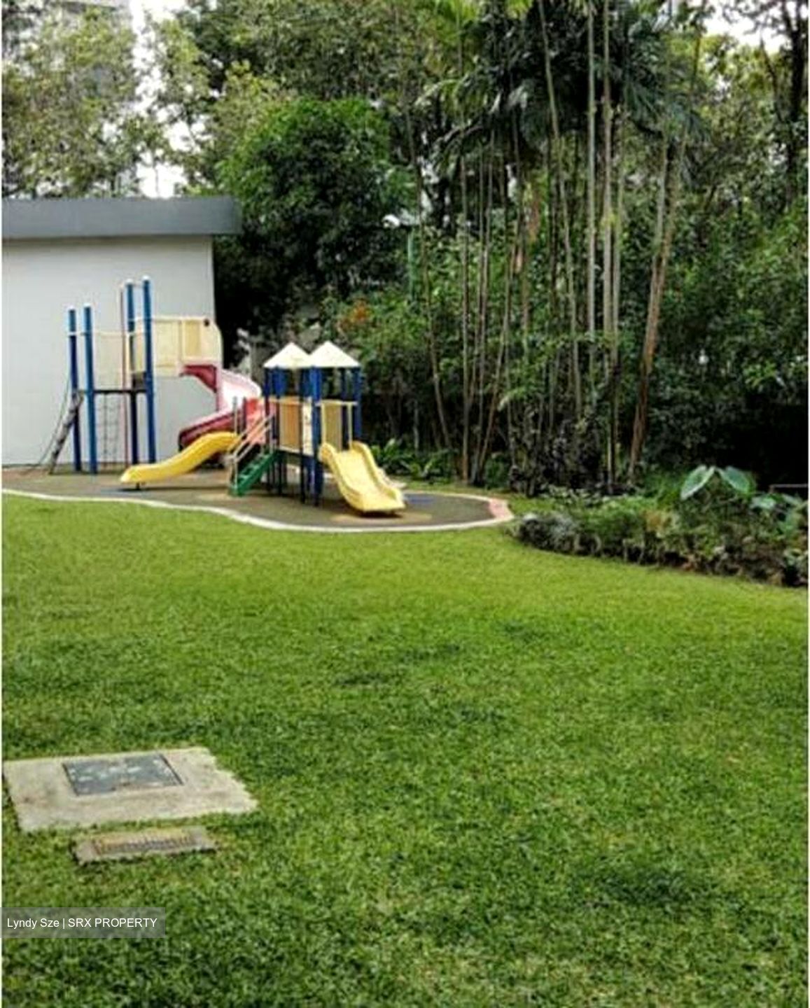 Rajah Tower (D12), Apartment #520667081